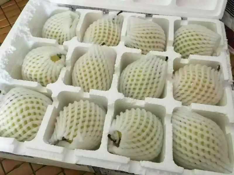 贡梨200~250g光果