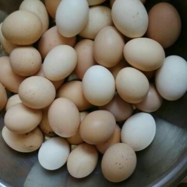 土鸡蛋食用50g以下