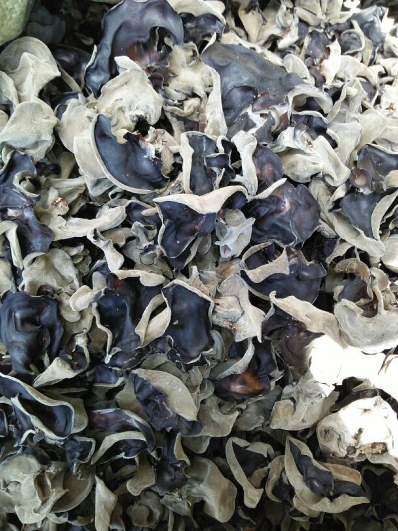 干木耳特级