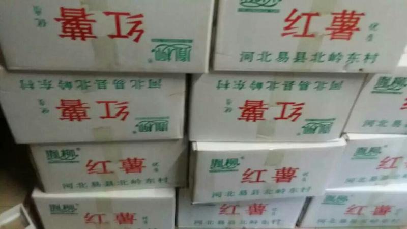 北京553红薯5两以上商品薯黄心
