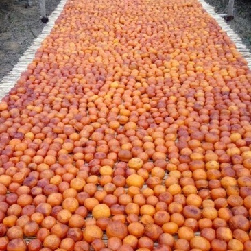 柿饼1~2两