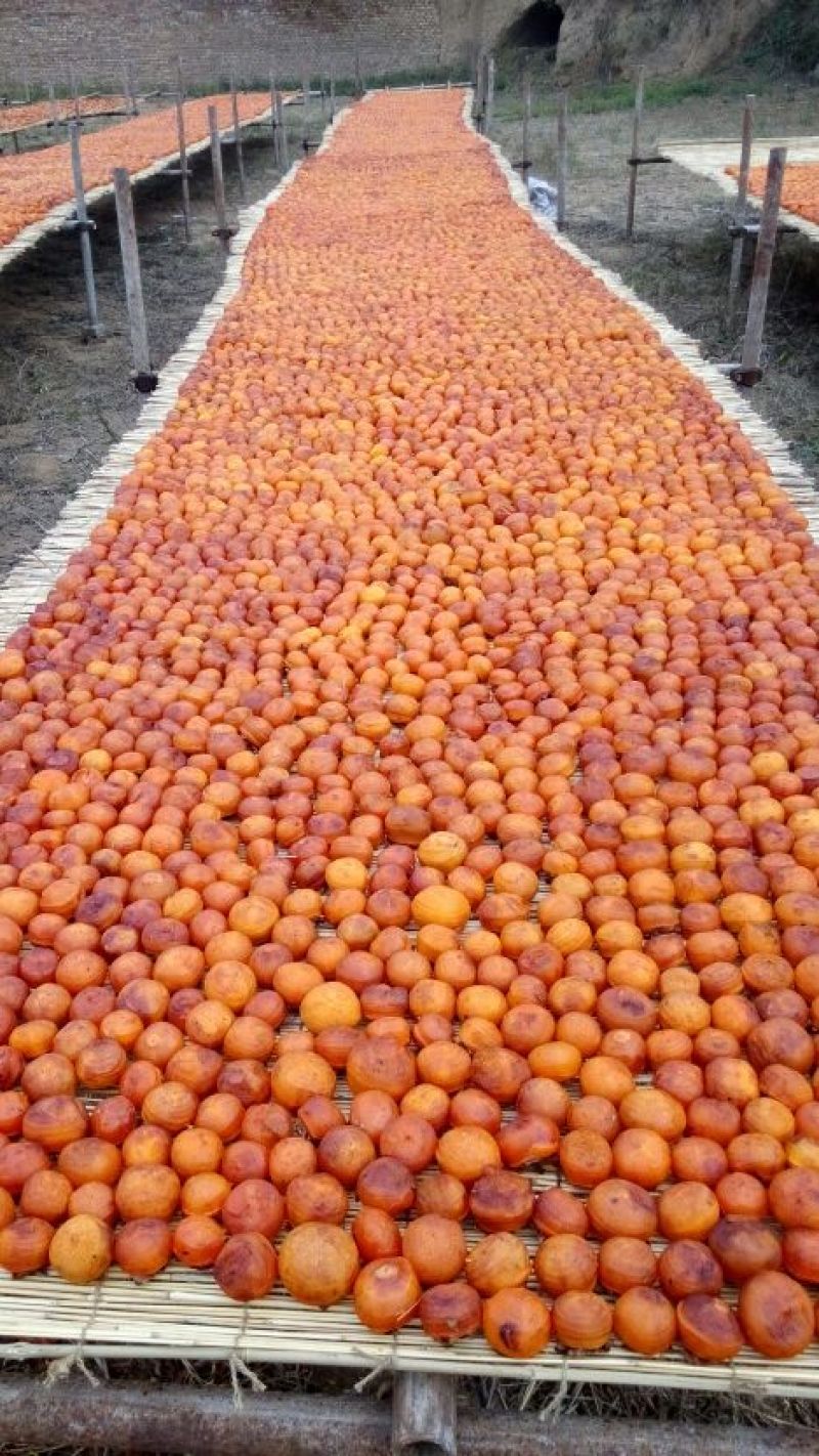 柿饼1~2两