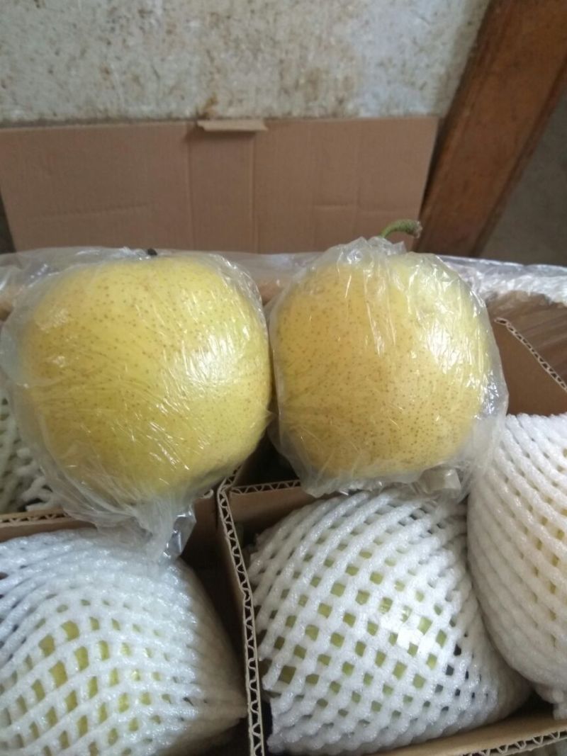 皇冠梨250~300g膜袋