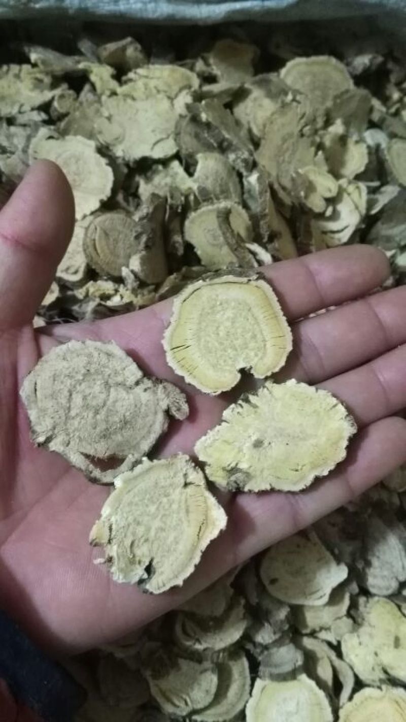 苦参选货