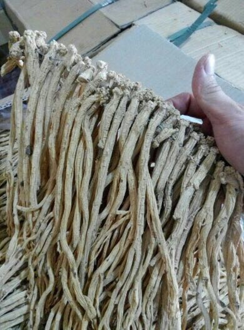 白条党参干货中条