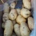 荷兰十五土豆基地批发量大质优3两以上货源充足