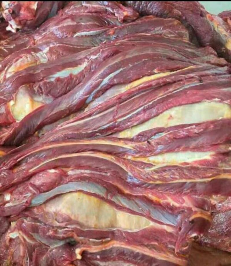 马肉冷冻