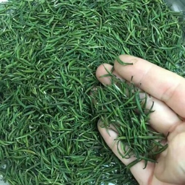 观音茶一级