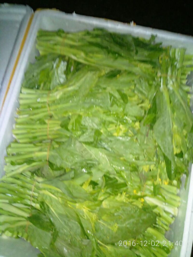 蔬菜