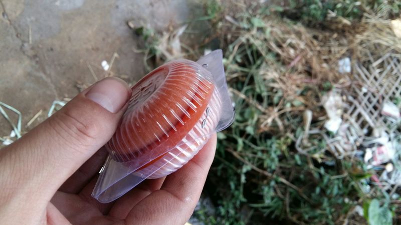 柿饼1~2两