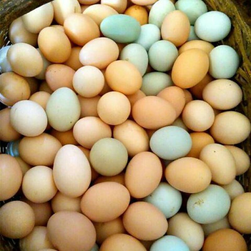 土鸡蛋食用50g以下