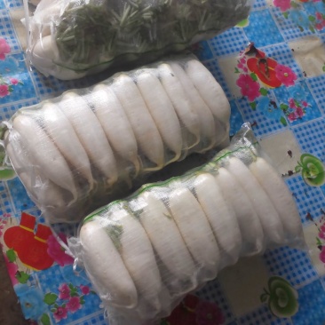 白萝卜2~2.5斤起