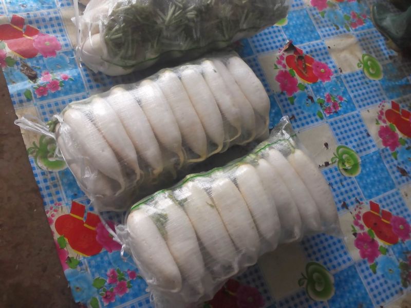 白萝卜2~2.5斤起
