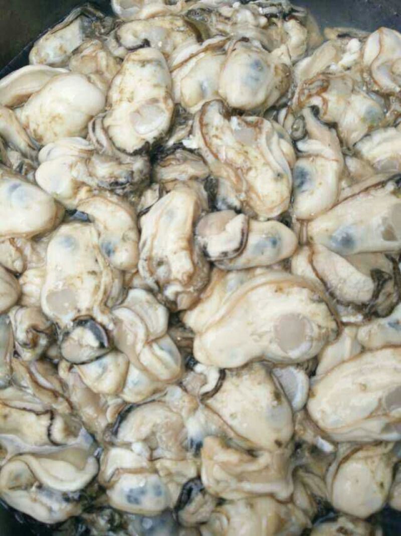 生蚝牡蛎