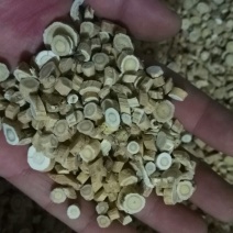 黄芪0.5~1.5cm