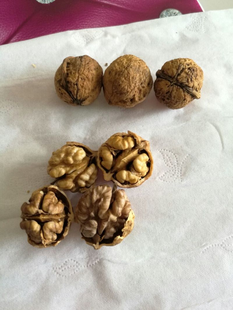 薄皮核桃25mm以下去皮
