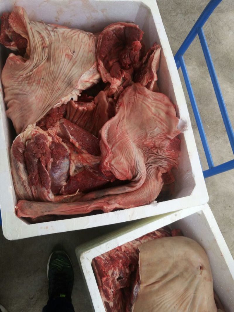 驴肉