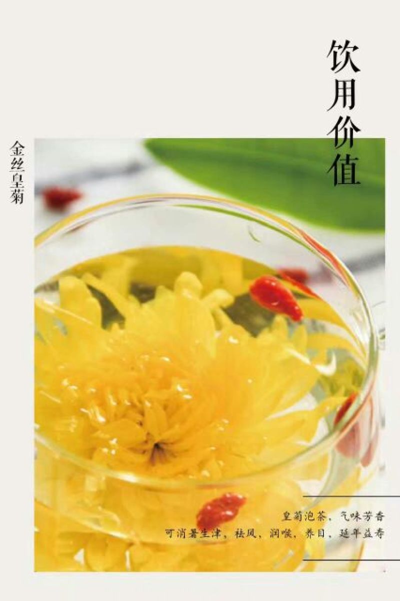 皇菊茶