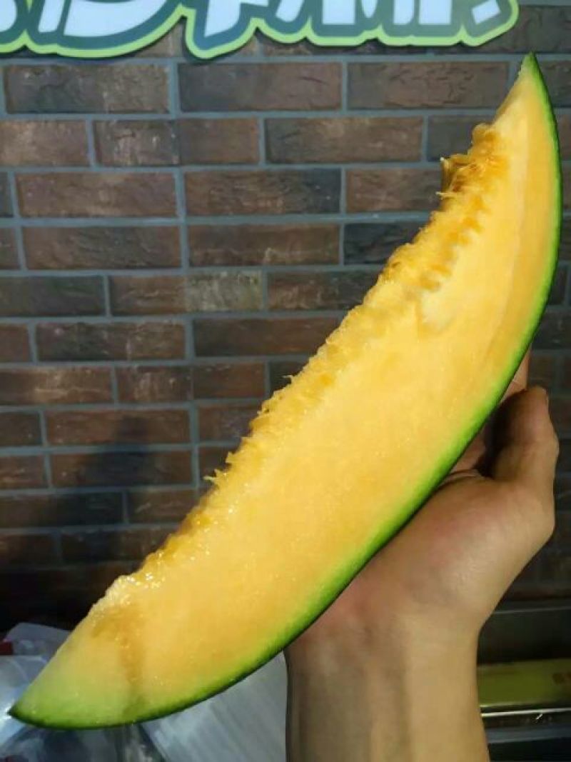 伽师瓜7斤以上长圆形
