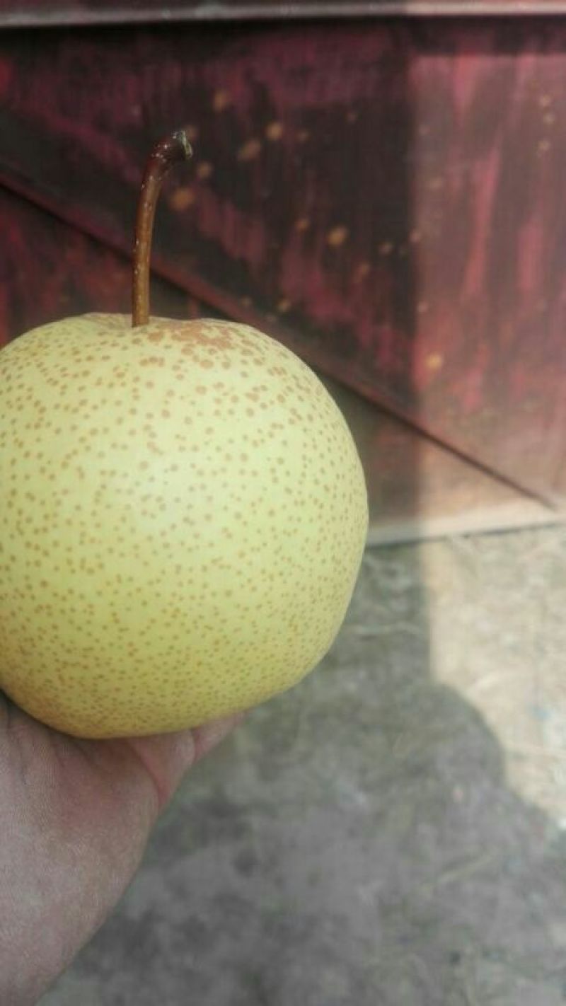酥梨纸袋