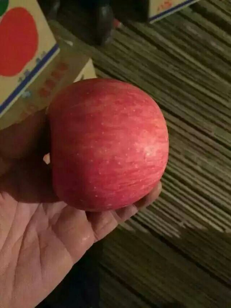 苹果陕西纸袋红富士苹果