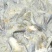 池鲤鱼食用1~2公斤