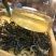 普洱茶