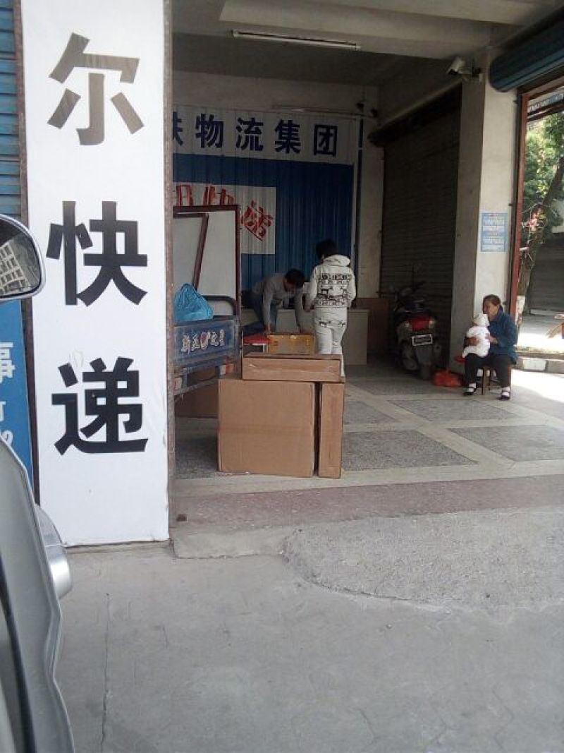 银杏果