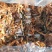柿饼1~2两