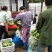威廉斯香蕉八成熟