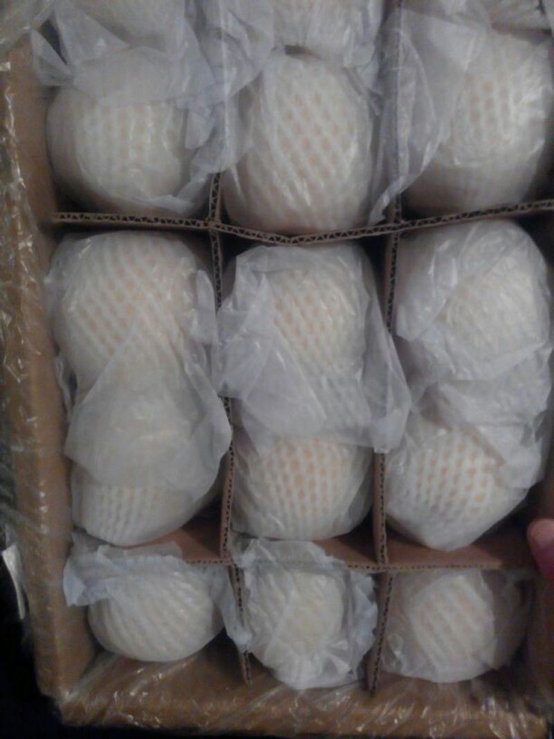 皇冠梨250~300g纸袋