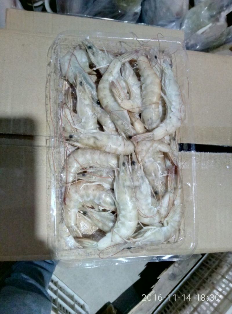 青虾食用13~15只/kg