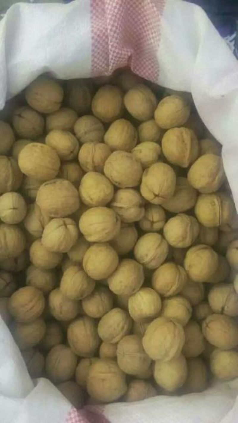 新疆185核桃去皮