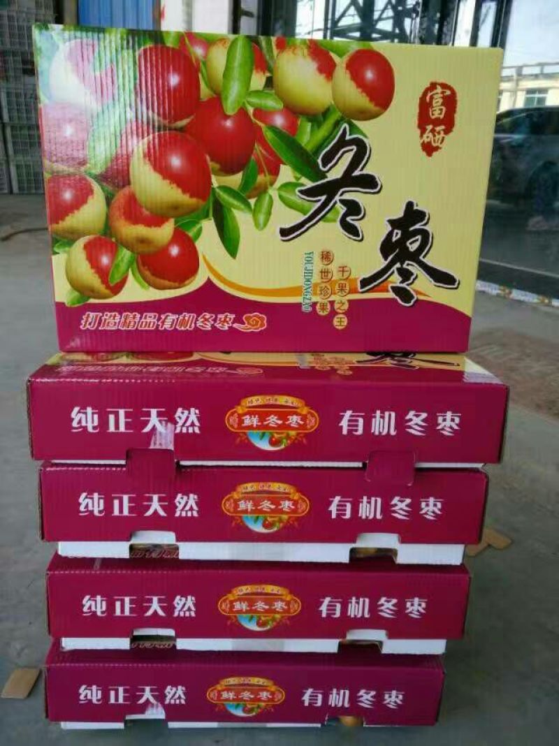 地坑棚冬枣