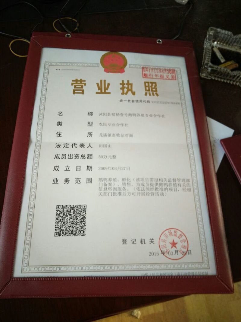 泰州白鹅鹅苗250g以下