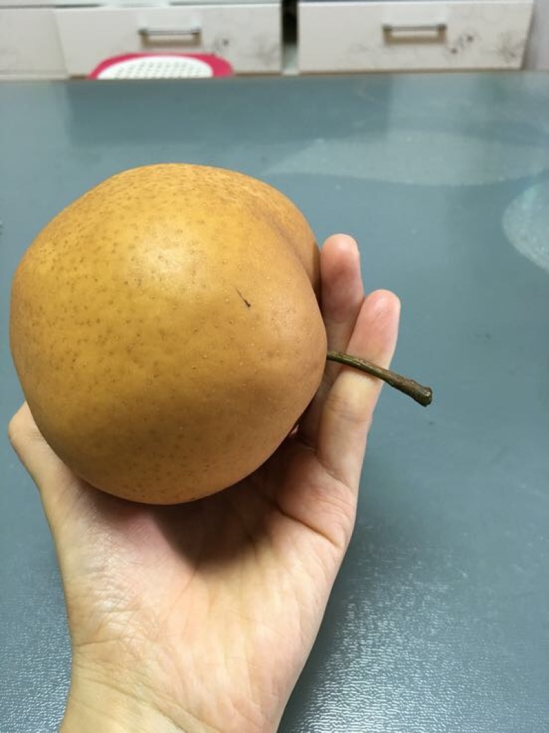 红梨