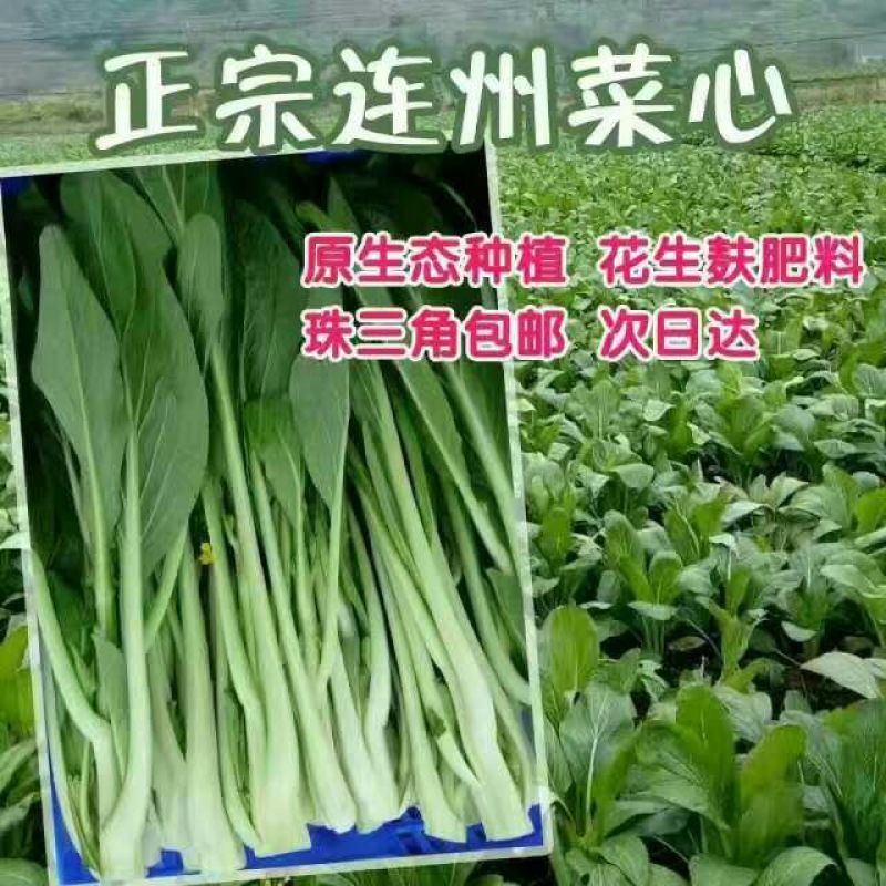 蔬菜
