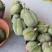 泰国榴莲3~5斤