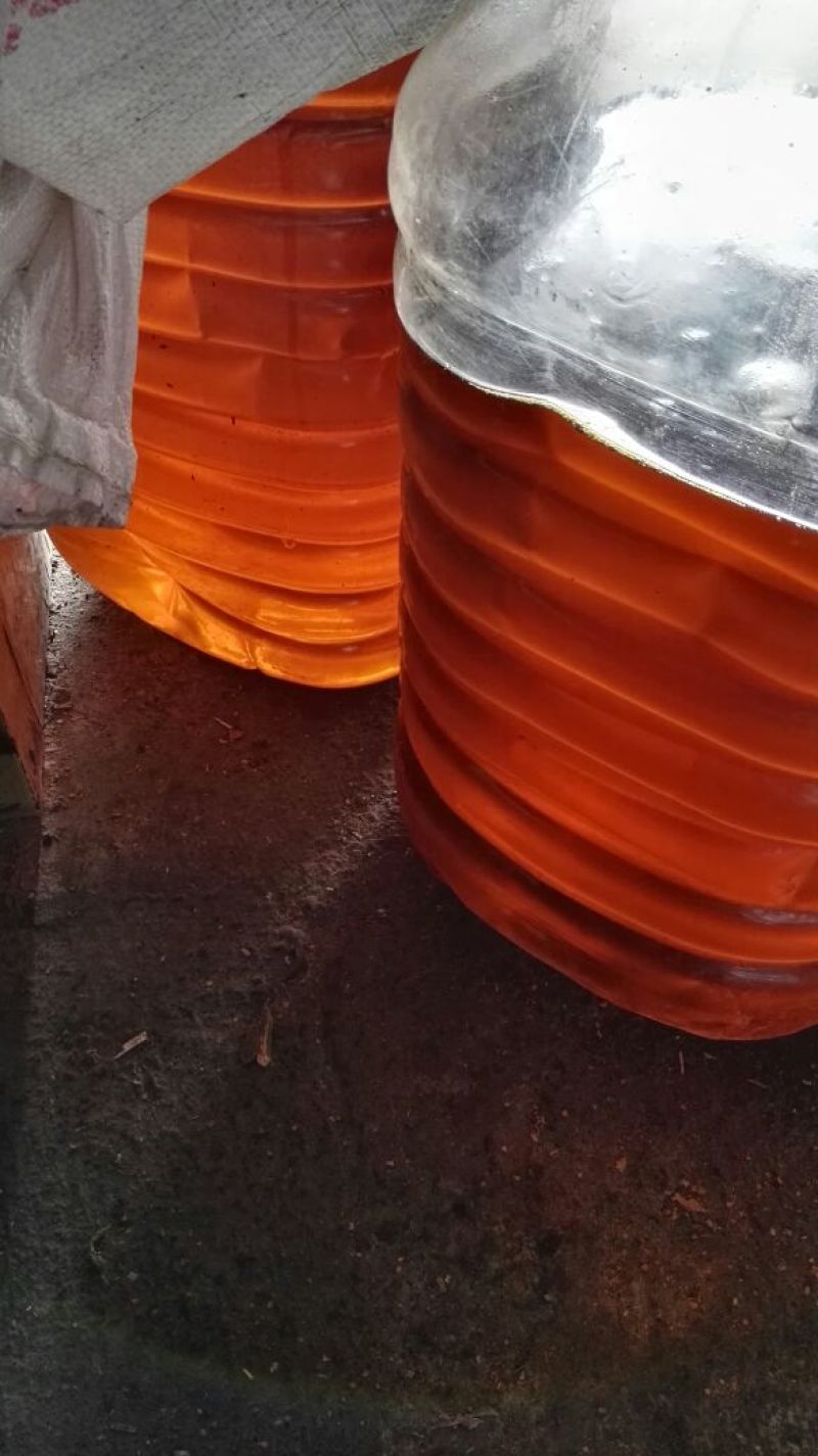 压榨菜籽油一级