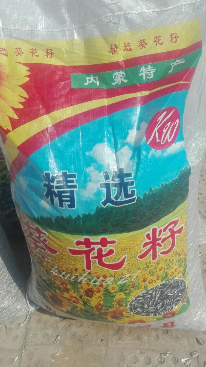 食葵150~200cm
