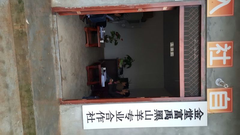羊肉山羊肉否
