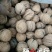 绵核桃25mm以下去皮干