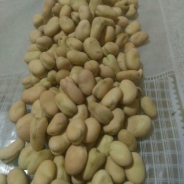 青海蚕豆优等品
