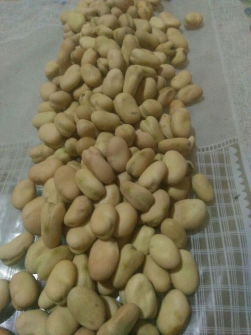 青海蚕豆优等品