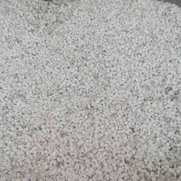 大别山茯苓
