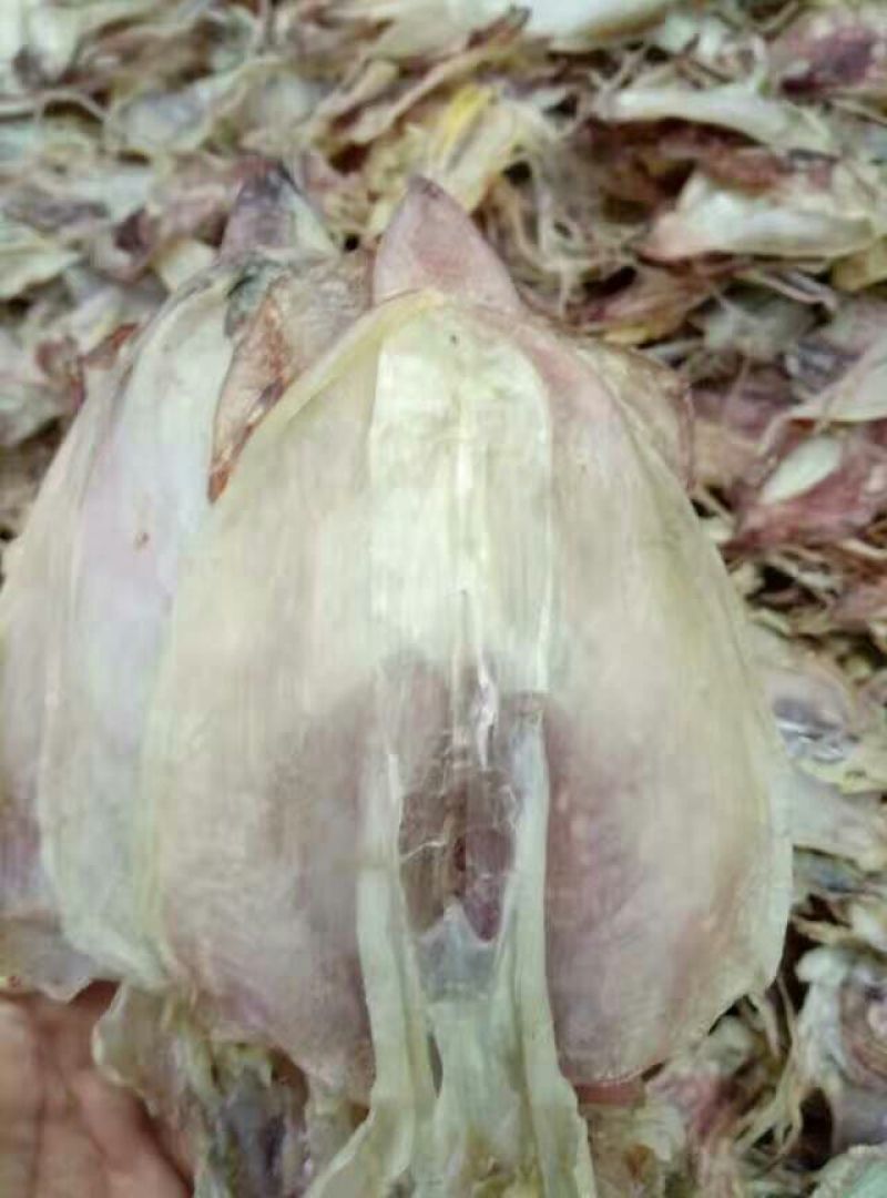鱿鱼干包装