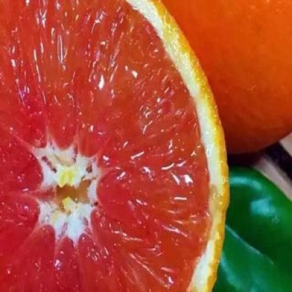 中华红脐橙湖北宜昌秭归县_批发_供应-一亩田