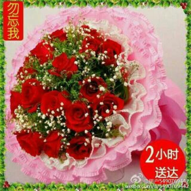 发财树