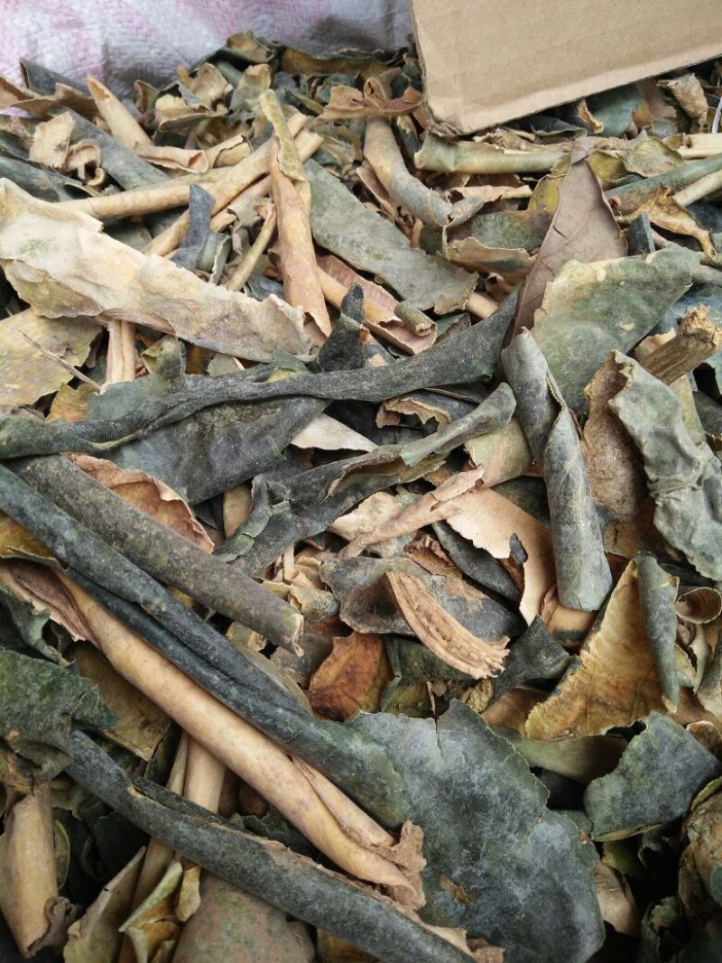 冬瓜皮各种中药材批发质量保证产地直销