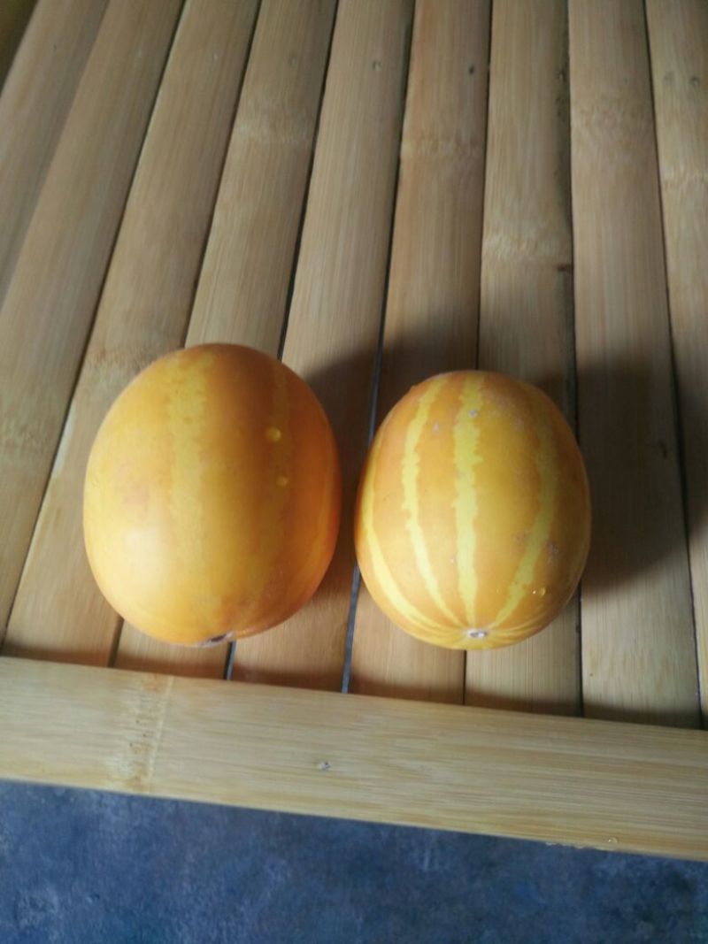 吊瓜子散装